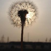 下路崩五次