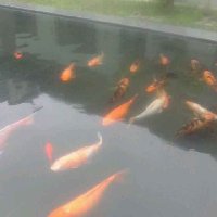如果～到#