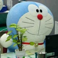 ✨一花一世界 ✨