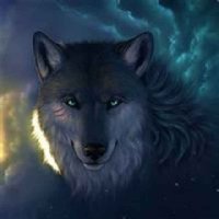 只做丽的灰太狼