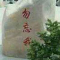 &心动便$是劫&
