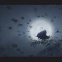 一葉知秋532