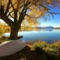 ♥哈哈☞妖怪哪里逃☜