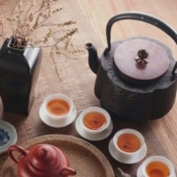 马hongli