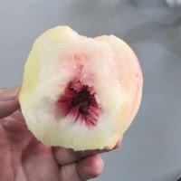 三花淡奶高科技