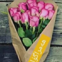 🌸GUL BARGI🌸