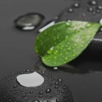 梦醒是黄粱（๑๑）