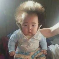 虫虫3731