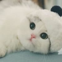 （눈杀戮눈）