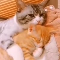 勿念～曾经的曾经