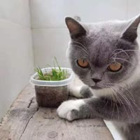 陪你走过美好时光