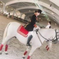 养了两只狗的马术骑手🐎