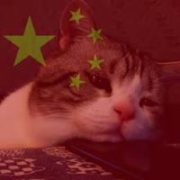 ㄤ啊豪