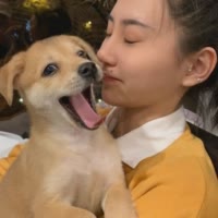 妈送的妈