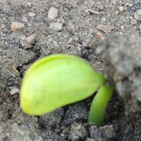 建安汇用户头像