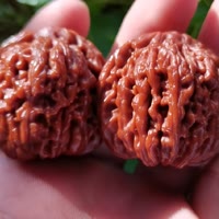 胖土豆...