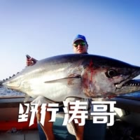 野行涛哥