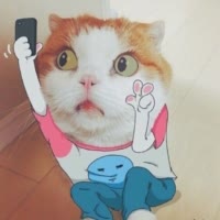 畫久久99