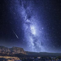 一片森林一片雨