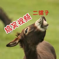 二骡子搞笑配音