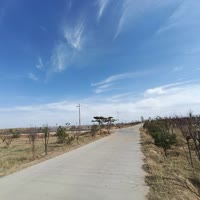 -青丝到白发.