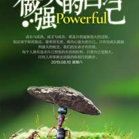 莉姐短剧
