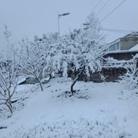 诗绪飞炀