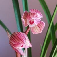 建安汇用户头像