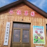 永强果园黑哥