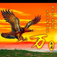 幻影55245