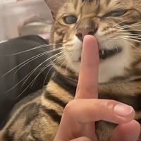 无味人生