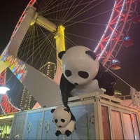 小雪的美学分享