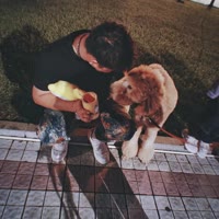 ✎ℳ๓₯㎕☞夜❦独醉