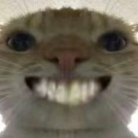 加菲猫