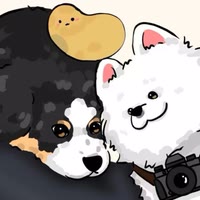 狗头洋芋