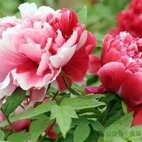 发财致富