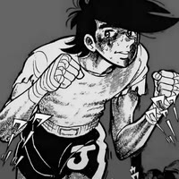 野狗也有高洁的灵魂