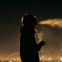 海豚不会哭