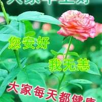 邓辉均