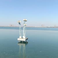 开心（✪▽✪）