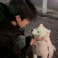 魚魚＠