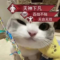 求不得