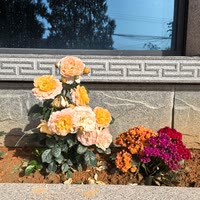 快手二次元排行榜第12名線靐髮襖,新榜指数871.9926882267423,新增作品数113,播放数492.2w,点赞数2.73w,评论数1531,分享数1424,新增粉丝数1.03w,累计粉丝数309.11w