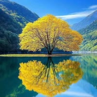 光❤爱慈儿