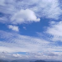 你真我真，你假我转身！