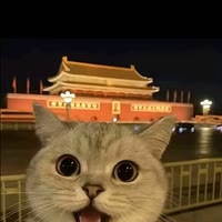 落辰🅥   ⃝  ⃝