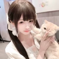 迷权（炽阳➕龙头）