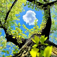 78岁性感公蟑螂