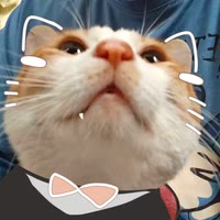 网名我想了两年半荒木小号