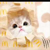 快手用户1770941277106